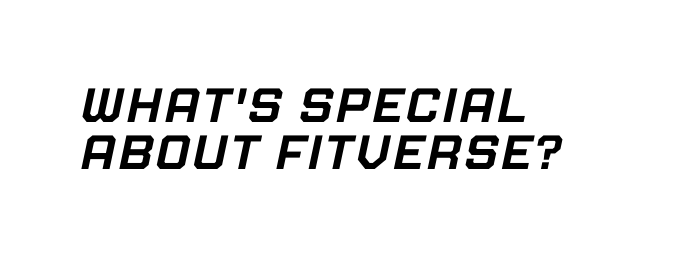 What s special about FITVERSE